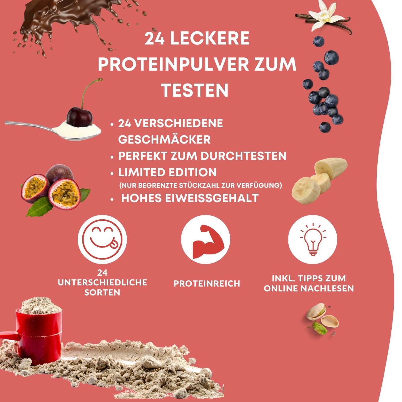 Protein Adventskalender 2024