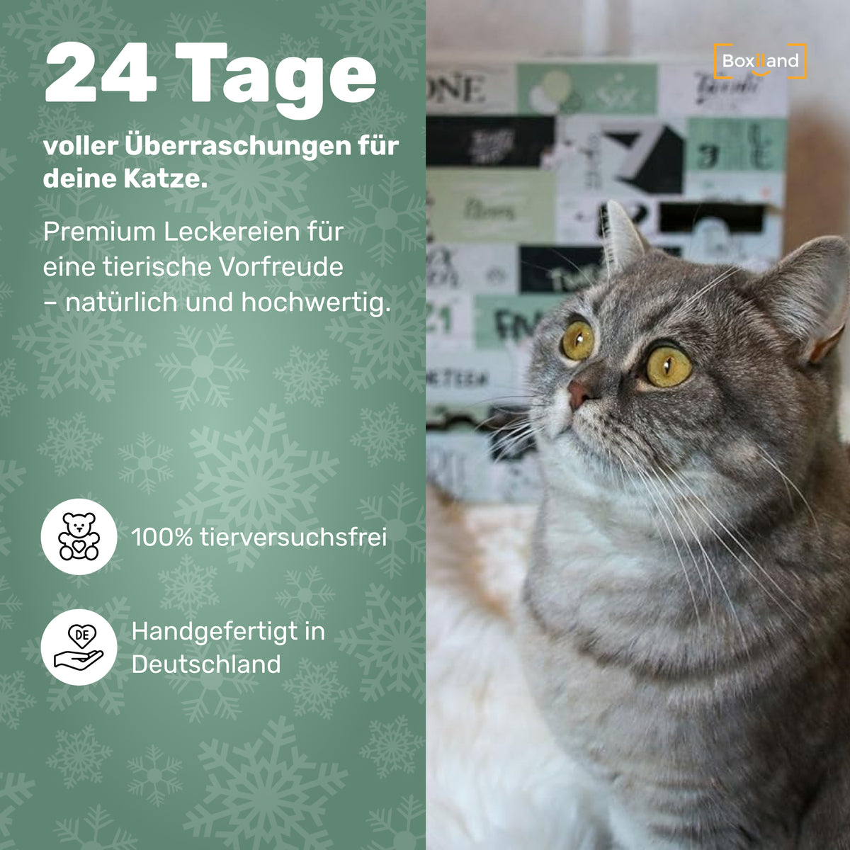 BOXILAND® Adventskalender 2025 für Katzen – Premium Katzensnacks in stilvoller Geschenkbox – Weihnachtskalender für Katzen – Geschenkidee für Katzenliebhaber – Hergestellt in Deutschland