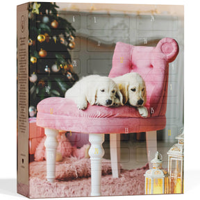 BOXILAND® Hunde-Adventskalender 2026 – 24 Hundesnacks Leckerli