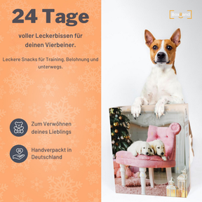 BOXILAND® Hunde-Adventskalender 2026 – 24 Hundesnacks Leckerli