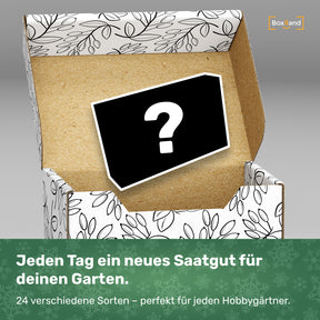 BOXILAND® Saatgut Adventskalender 2025 [24 SORTEN GEMÜSE, KRÄUTER, OBST] – Adventskalender 2025 Saatgut Garten – Adventskalender Samen 2025 Pflanzen – Adventskalender für Gartenfreunde und Gärtner