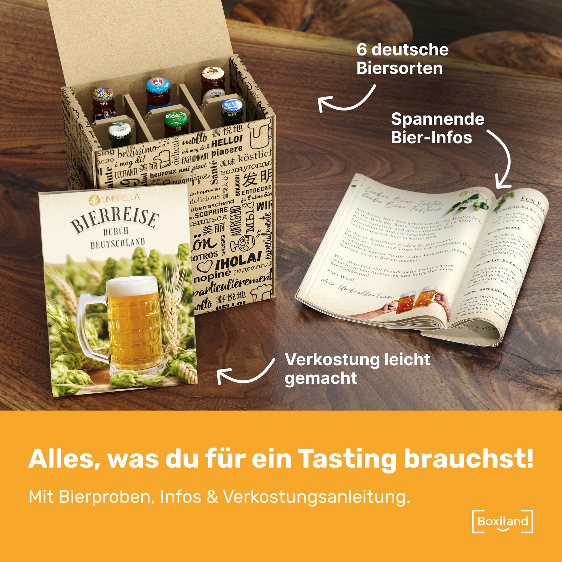 BOXILAND® Bier Geschenk Probierset [INKL. BIER-BROSCHÜRE] – Bier Set Bier Tasting – Bier Probierset besonderes Bier – Biertasting Bier Geschenke für Männer – Geschenk Biere aus Deutschland (6 × 0,33l)
