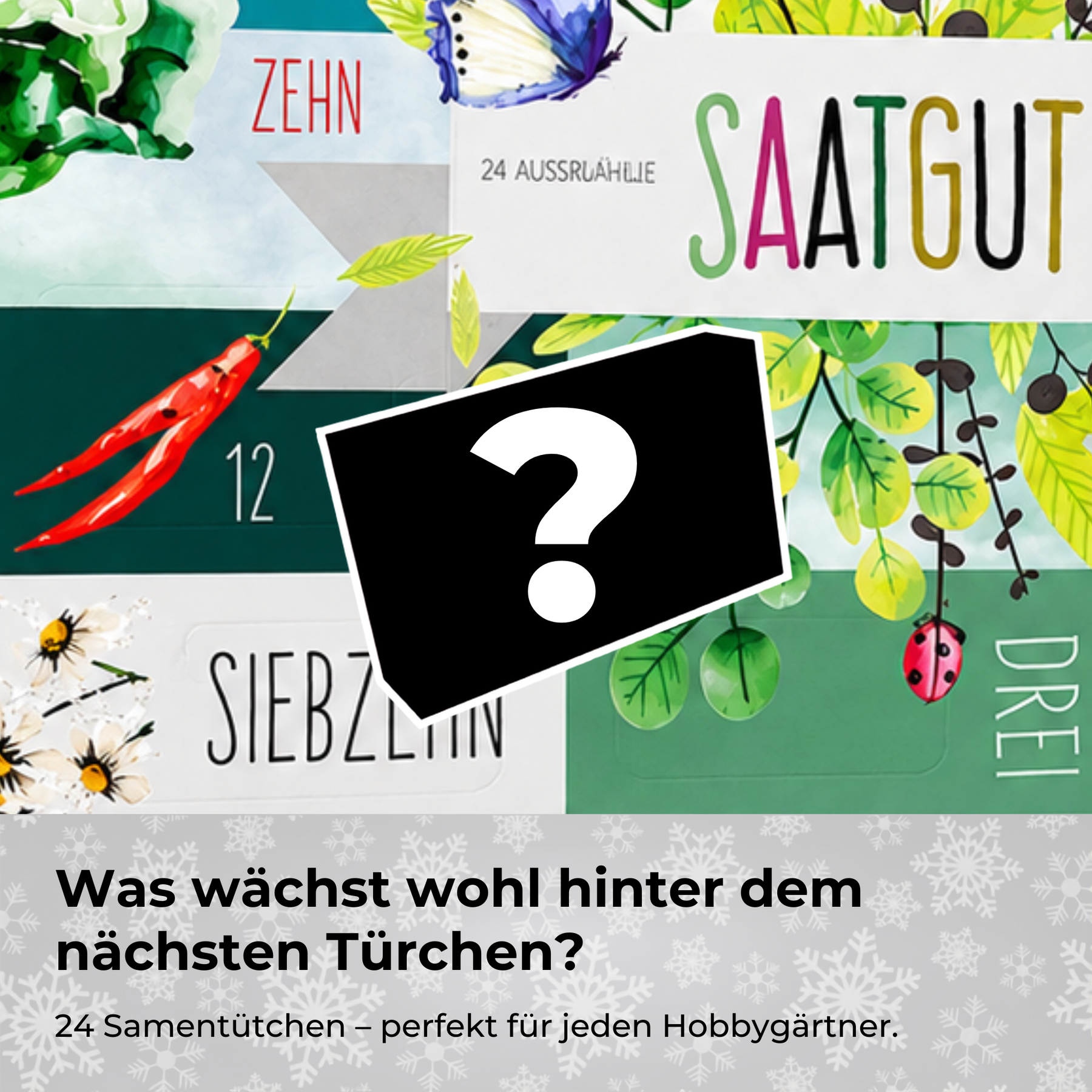 BOXILAND® Saatgut Adventskalender 2026 – 24 Sorten Gemüse Kräuter Obst