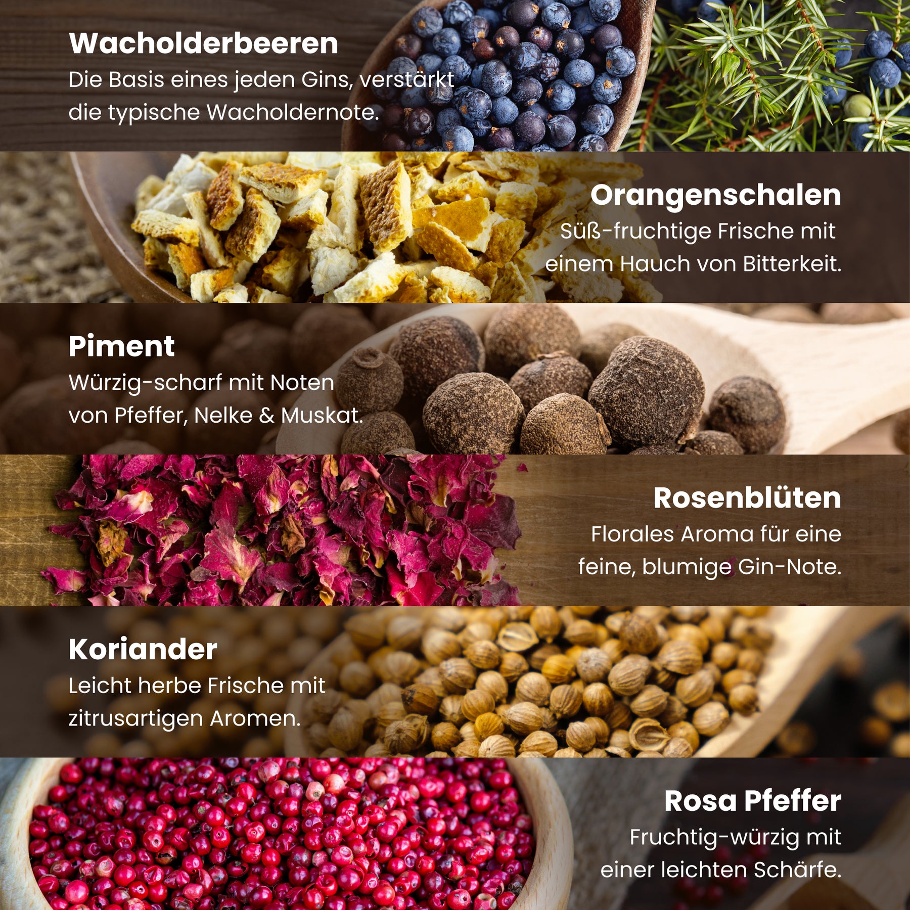 Gin Botanicals Geschenkset – 6 Premium-Gin-Gewürze in Bio-Qualität inkl. Rezepten – DIY Geschenkbox mit hochwertigen Gin-Zusätzen für Genießer und Gin-Fans