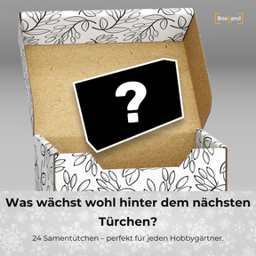 BOXILAND® Saatgut Adventskalender 2026 – 24 Sorten Gemüse Kräuter Obst