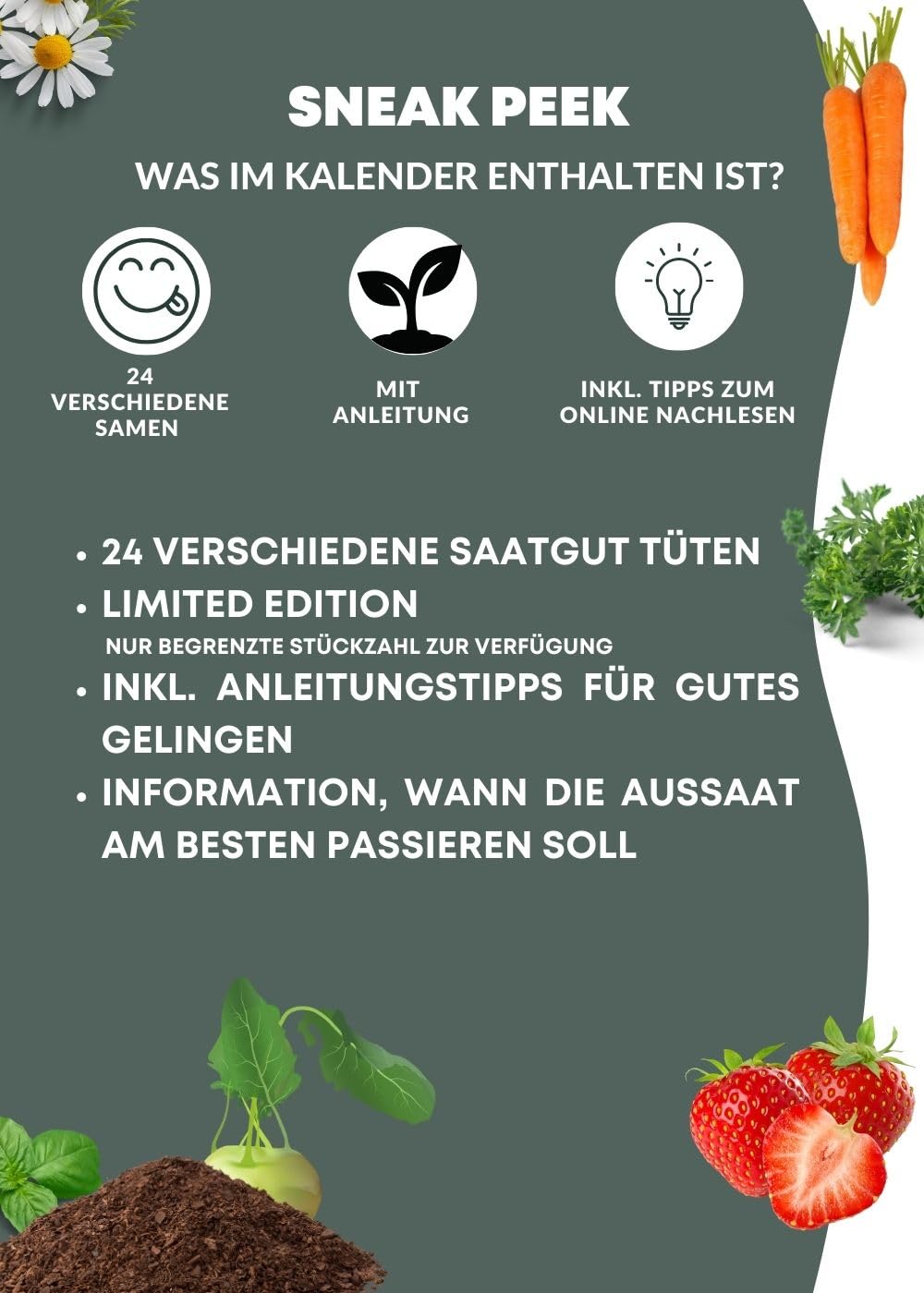 BOXILAND® Saatgut Adventskalender 2025 [24 SORTEN GEMÜSE, KRÄUTER, OBST] – Adventskalender 2025 Saatgut Garten – Adventskalender Samen 2025 Pflanzen – Adventskalender für Gartenfreunde und Gärtner