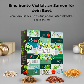 BOXILAND® Saatgut Adventskalender 2026 – 24 Sorten Gemüse Kräuter Obst
