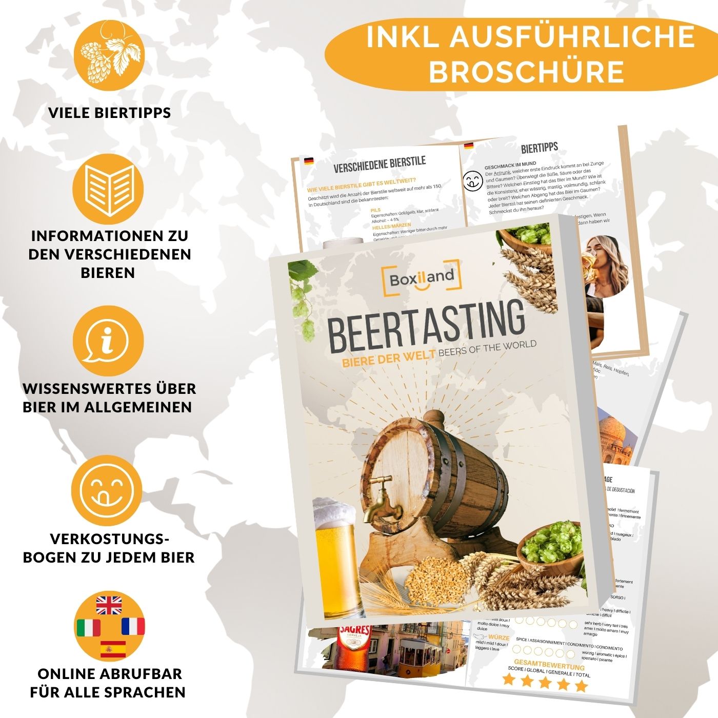 BOXILAND® Bier Geschenk Probierset [INKL. BIER-BROSCHÜRE] - Bier Set Bier Tasting - Bier Probierset besonderes Bier - Biertasting Bier Geschenke für Männer - Geschenk Biere aus aller Welt (6 x 0,33l)