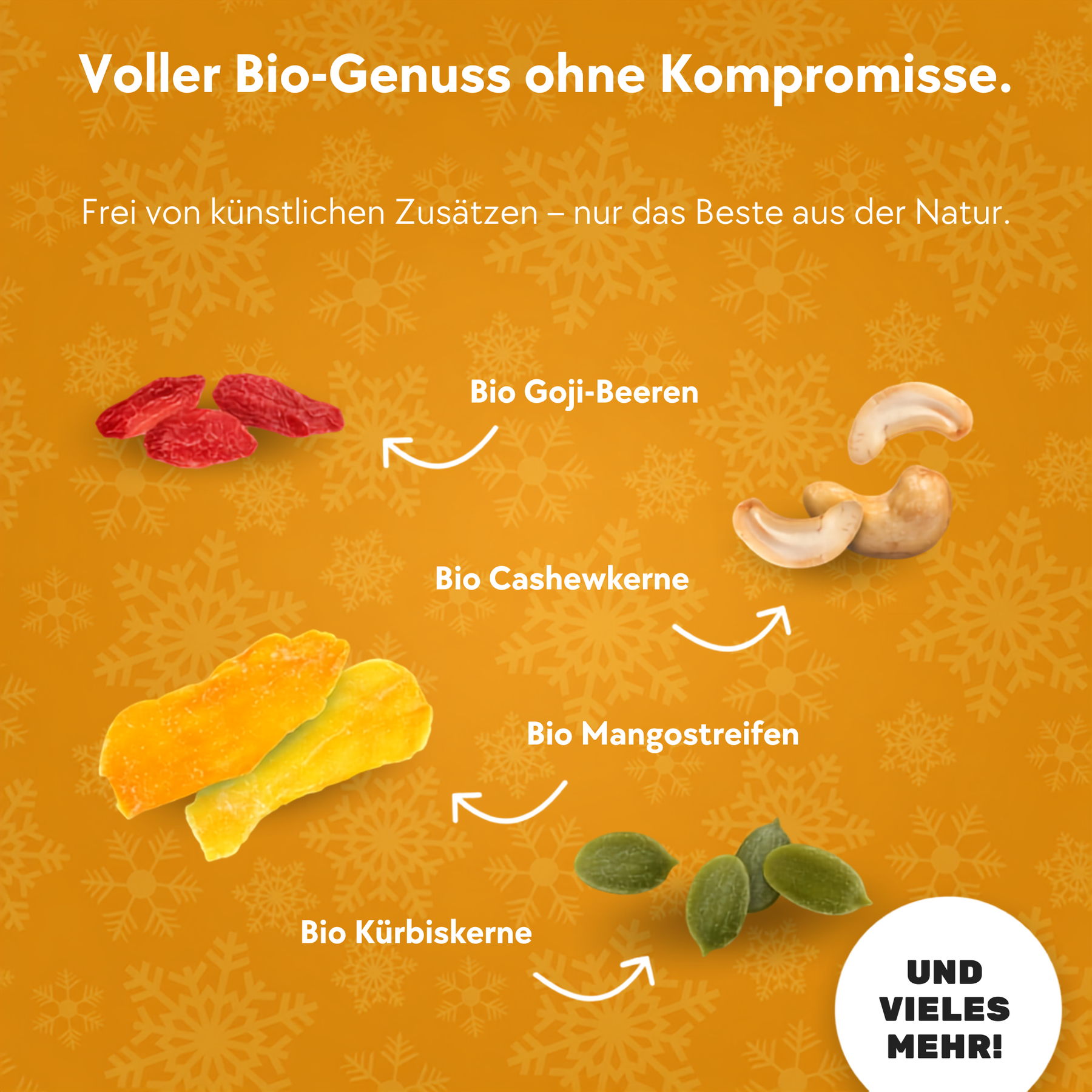 BOXILAND® Früchte Nüsse & Kerne Adventskalender 2026 Bio 24 Snacks Nussmix