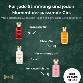 BOXILAND® Gin Adventskalender 2026 mit 24 Sorten à 0,02 l Gin-Tasting