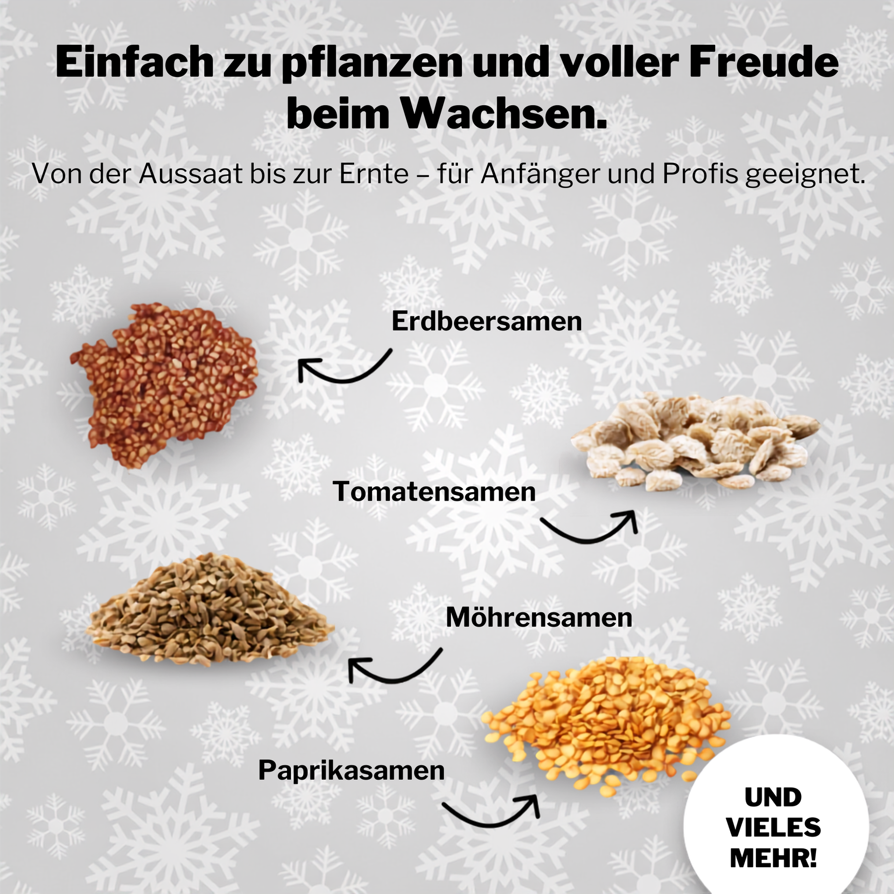 BOXILAND® Saatgut Adventskalender 2026 – 24 Sorten Gemüse Kräuter Obst