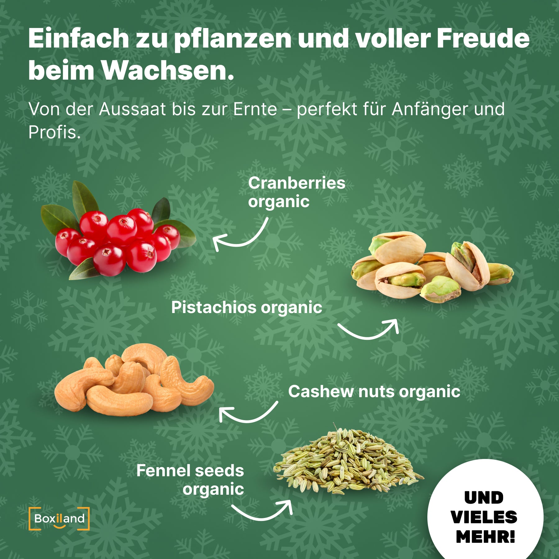 BOXILAND® Saatgut Adventskalender 2025 [24 SORTEN GEMÜSE, KRÄUTER, OBST] – Adventskalender 2025 Saatgut Garten – Adventskalender Samen 2025 Pflanzen – Adventskalender für Gartenfreunde und Gärtner