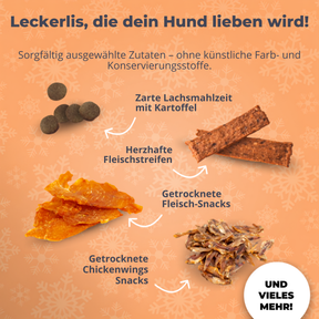 BOXILAND® Hunde-Adventskalender 2026 – 24 Hundesnacks Leckerli