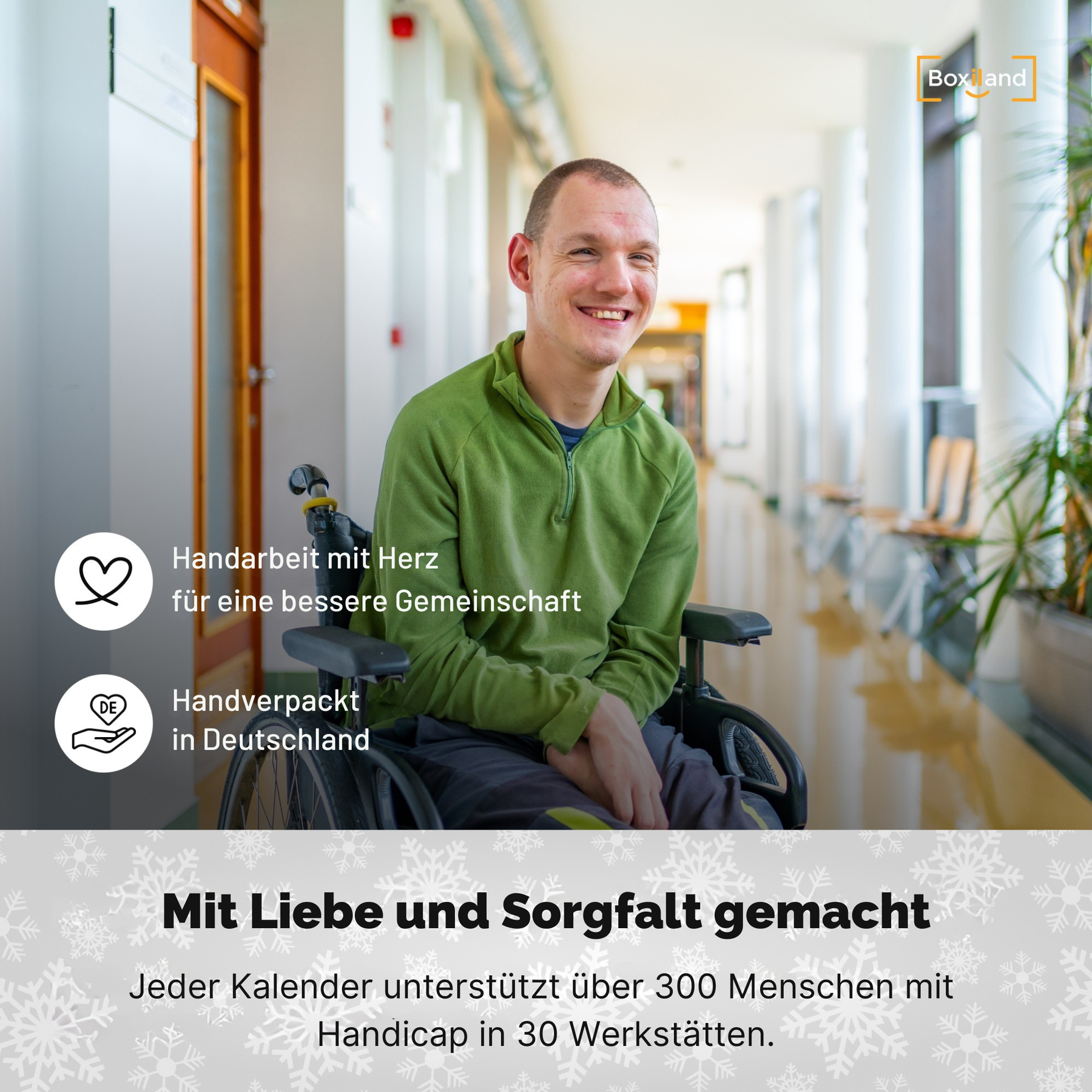 BOXILAND® Saatgut Adventskalender 2026 – 24 Sorten Gemüse Kräuter Obst