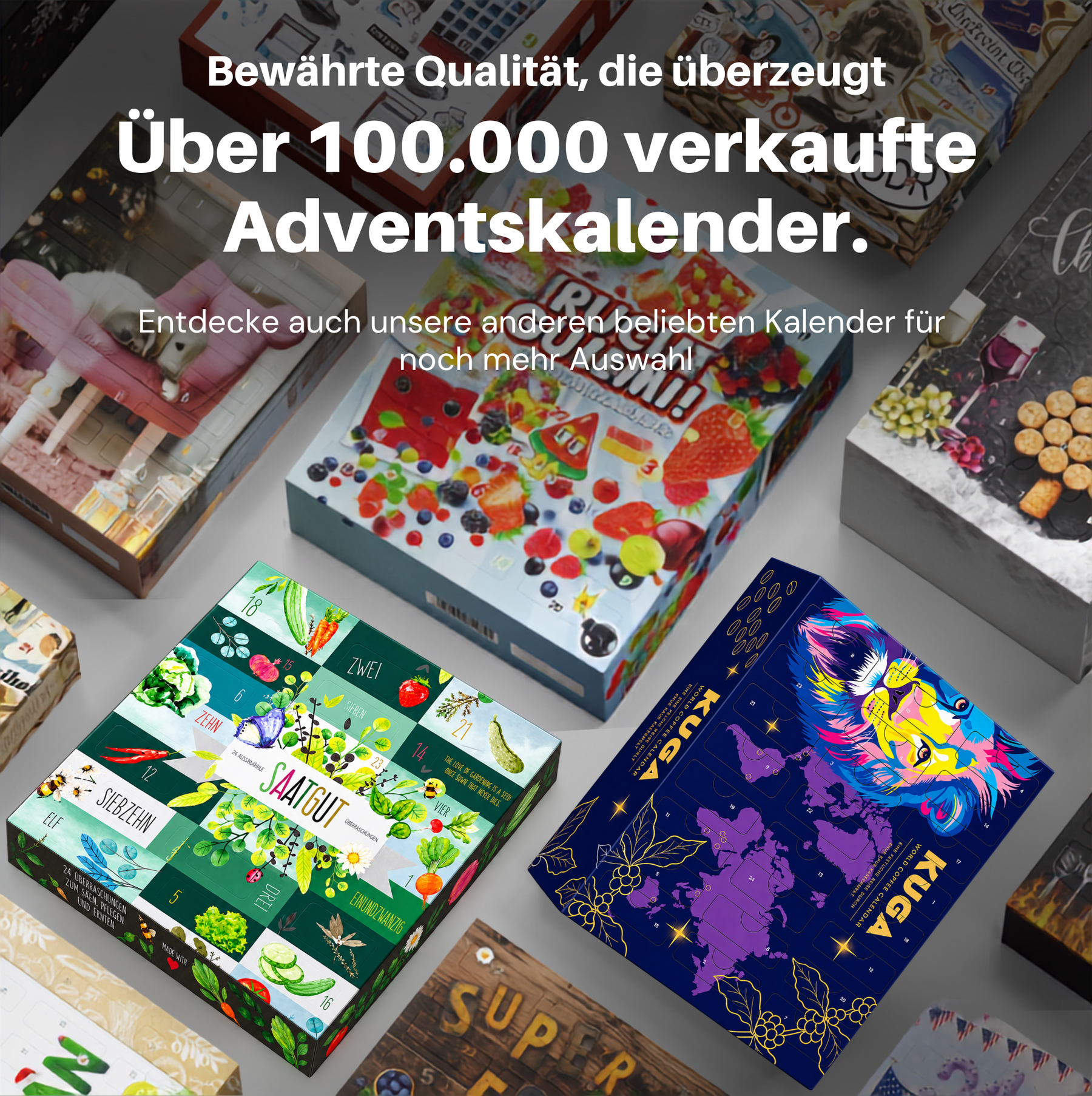 BOXILAND® Saatgut Adventskalender 2026 – 24 Sorten Gemüse Kräuter Obst