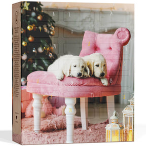 Hunde Adventskalender 2024
