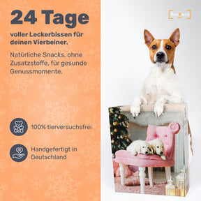 Hunde Adventskalender 2024