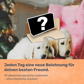 Hunde Adventskalender 2024
