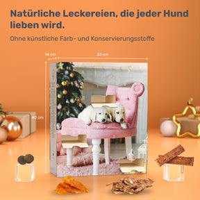 Hunde Adventskalender 2024