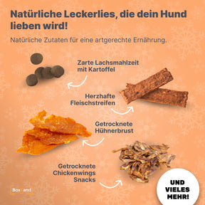 Hunde Adventskalender 2024