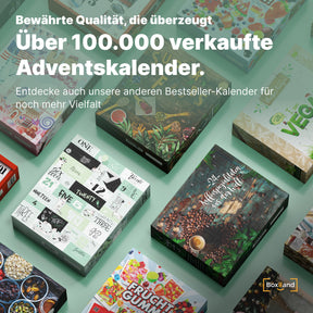 Katzen Adventskalender 2024