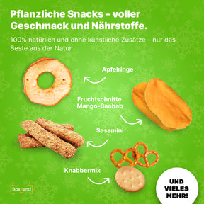 Bio Adventskalender 2024 Vegan