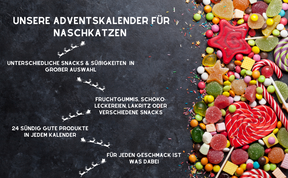 Lakritze Adventskalender 2024